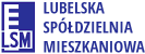 lsm_logo