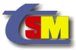 tsm_logo